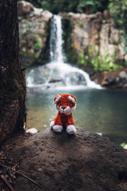 Tiger Toy In Front Of Waterfall - Waiau Falls, New Zealand